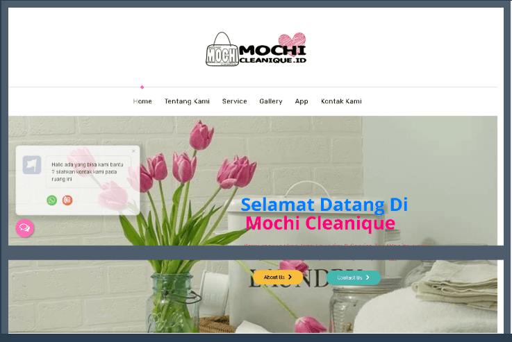 Website Mochi Clean