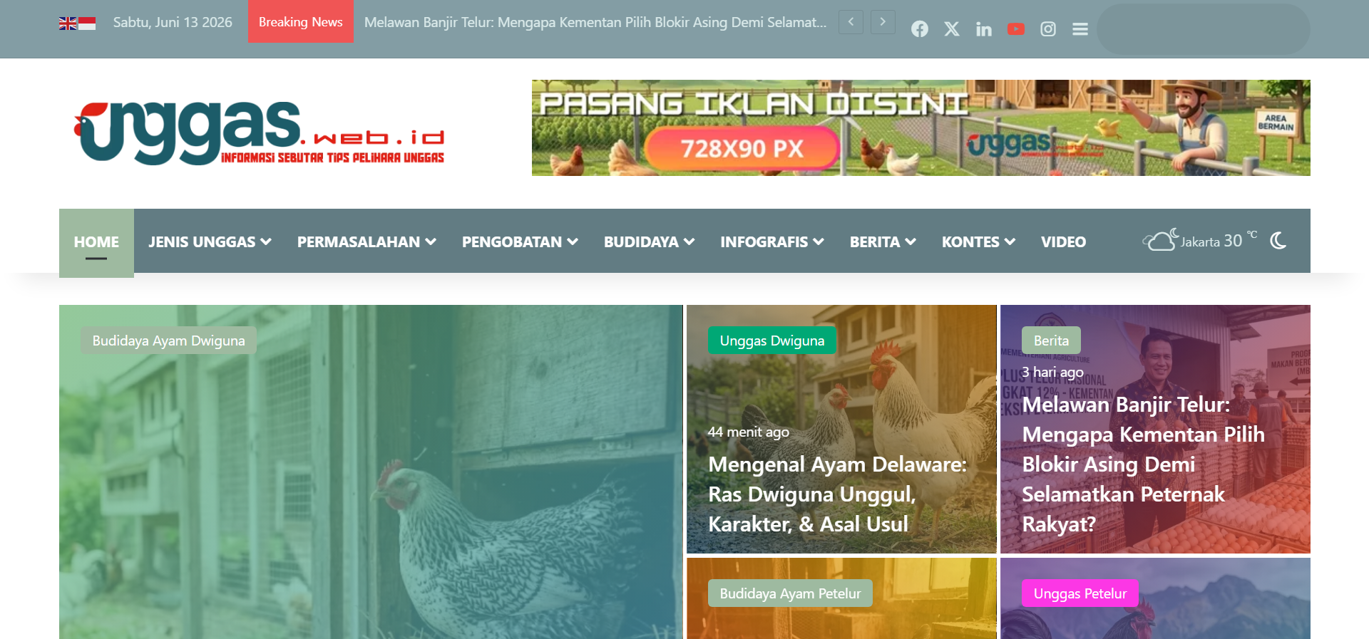Portal Informasi & Tips Peternak Unggas - Unggas.web.id - [www.unggas.web.id]